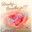 GRACIA - Drndaj … Svadba je !!! Album 2010 (CD) GRACIA - Drndaj … Svadba je !!! Album 2010 (CD)